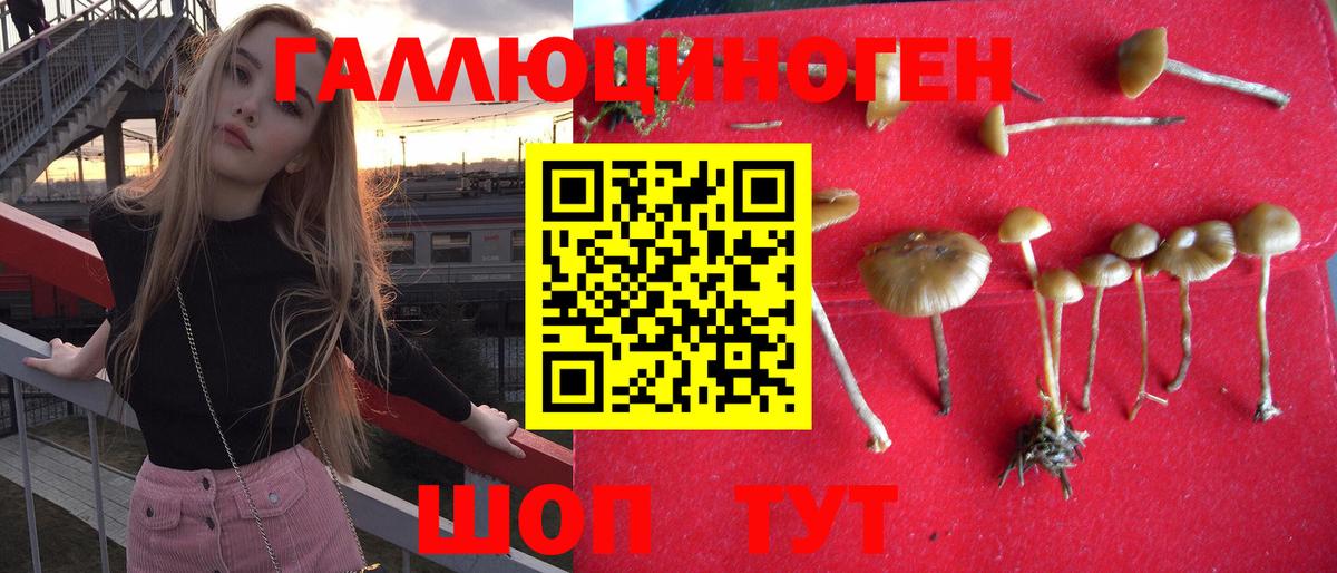 Галлюциногенные грибы Cubensis Каменка
