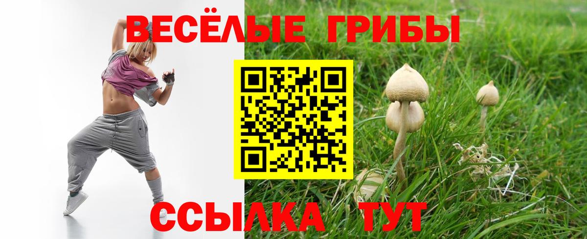 Каменка  Псилоцибиновые грибы Cubensis  Вход с VPN 